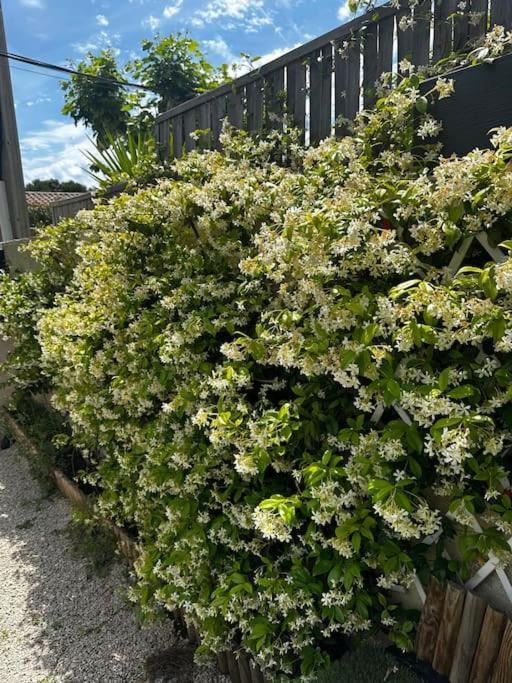 Magnifique Maison Avec Jardin Villa Marsella Exterior foto